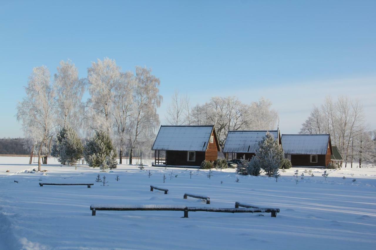 Poilsio Nameliai Pasartele Villa Kavoliai Bagian luar foto